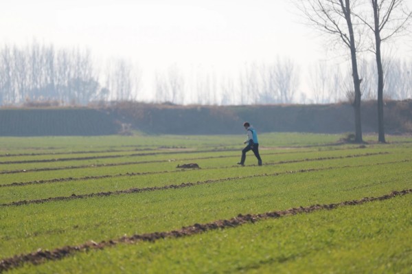 微信图片_20260304110447_2015_36.jpg 微信图片_20260304110447_2015_36.jpg