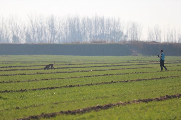 微信图片_20260304110447_2016_36.jpg 微信图片_20260304110447_2016_36.jpg