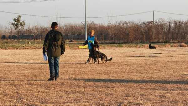 微信图片_20260304110448_2017_36.jpg 微信图片_20260304110448_2017_36.jpg