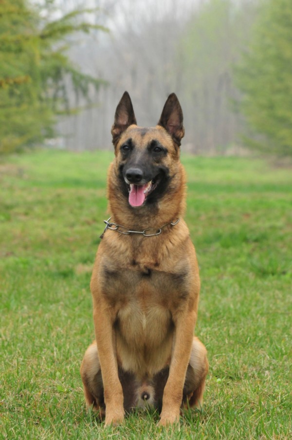 微信图片_20260304130243_2024_36.jpg 微信图片_20260304130243_2024_36.jpg