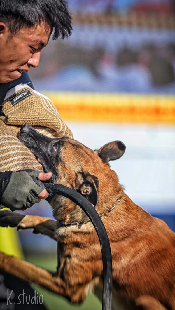 微信图片_20260304130245_2025_36.png 微信图片_20260304130245_2025_36.png