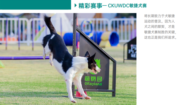 微信图片_20260305130229_2311_36.png