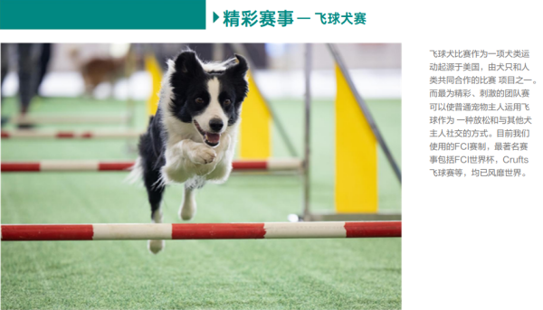 微信图片_20260305130232_2312_36.png