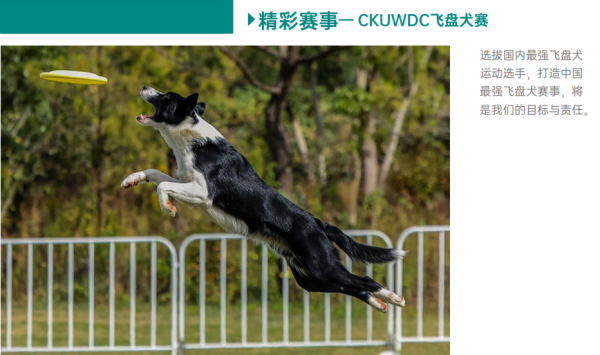 微信图片_20260305130238_2313_36.png