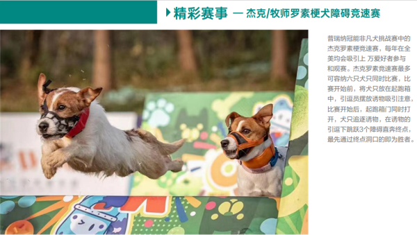 微信图片_20260305130241_2314_36.png
