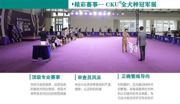微信图片_20260305130243_2315_36.png