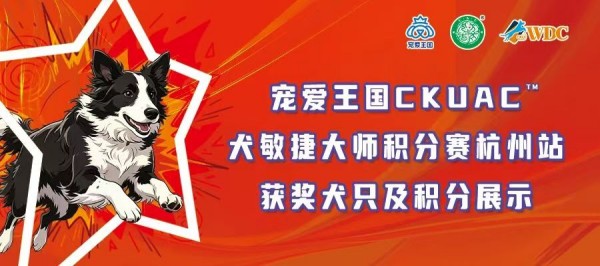 宠爱王国2026年CKUAC犬敏捷大师积分赛杭州站获奖成绩展示