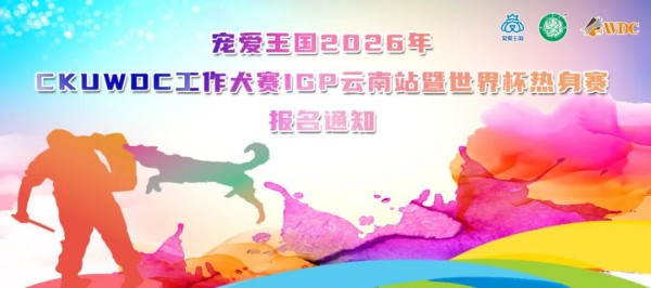 微信图片_20260811164129_318_96.jpg