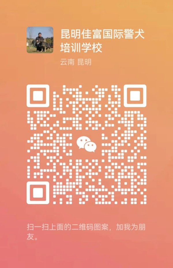 微信图片_20260811164150_325_96.jpg
