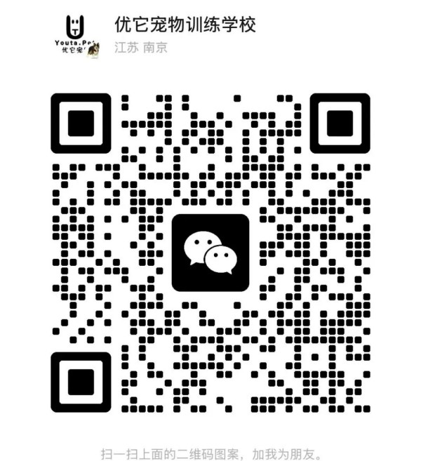 微信图片_20260812100210_343_96.jpg
