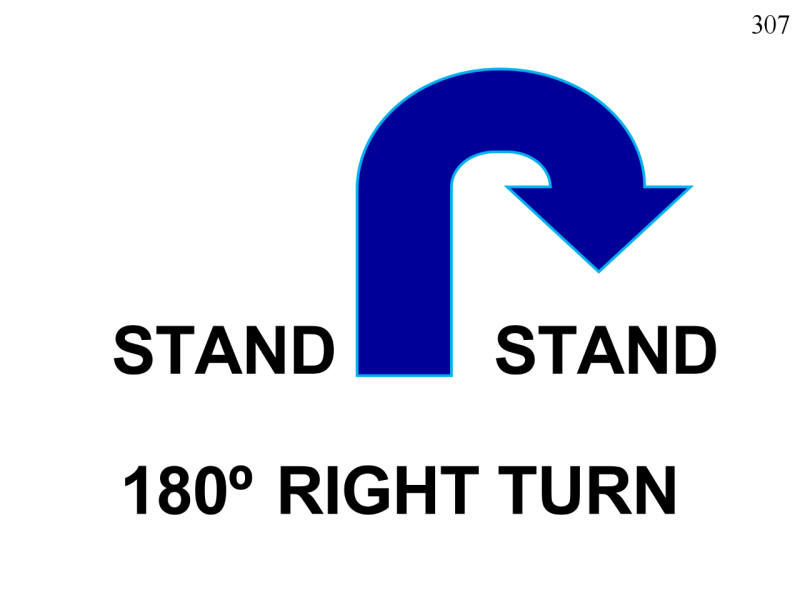11-307.png