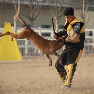 肖峰(2).jpg 肖峰(2).jpg