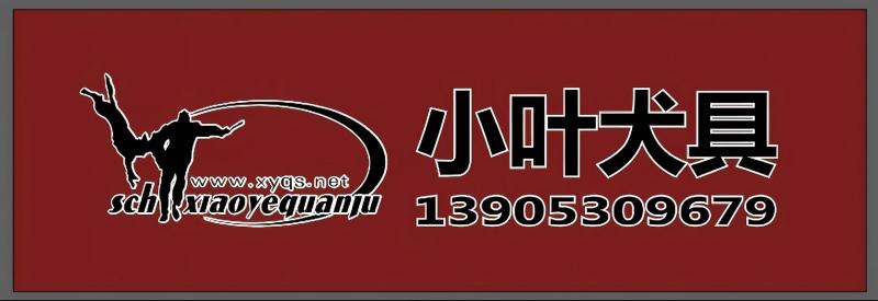 小叶01(1).jpg 小叶01(1).jpg