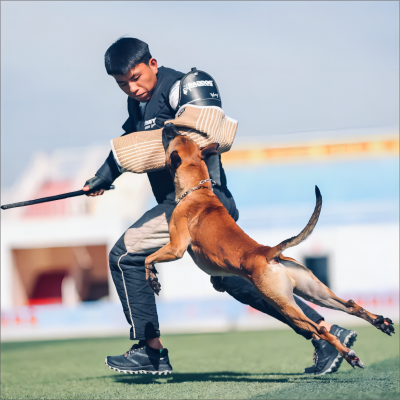 赵少康(2).png 赵少康(2).png