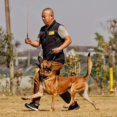 张建江.jpg 张建江.jpg