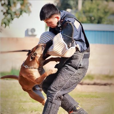 赵少康.jpg 赵少康.jpg